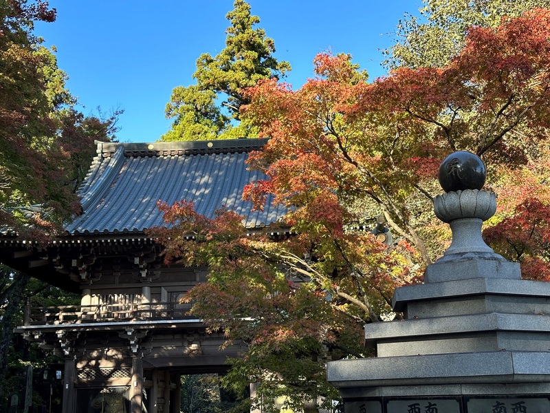 Mt. Takao: mooie wandelpaden en Mt. Fuji uitzicht